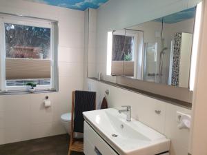 a bathroom with a sink and a mirror and a toilet at Ferienwohnung Reinhardt in Oldenburg