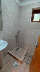 a shower in a bathroom with a sink at Log cabin 1 Merdovic in Mojkovac