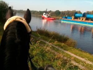 a horse looking at a boat in the water at Hof Reitmoor in Tackesdorf