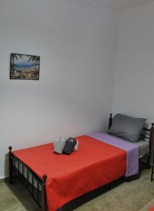 1 dormitorio con 2 camas y manta roja en Vaso's apartment, en Heraclión