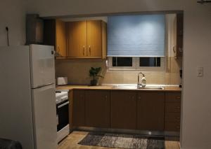 A kitchen or kitchenette at Vaso's apartment