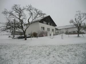 un patio cubierto de nieve con una casa y árboles en Mirscheiderhof, en Weidenbach