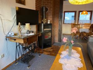 a living room with a fireplace and a television at Altstadthaus zur Weide in Heiligenhafen