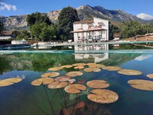 a pool with lily pads in the water at Agriturismo Albero del Miele in San Rufo