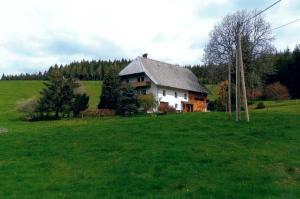 une grande maison dans un champ d'herbe verte dans l'établissement Sommerruhe, à Titisee-Neustadt
