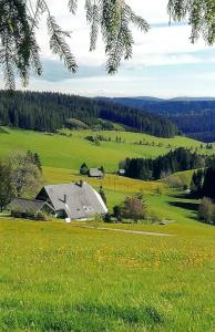 un granero en un campo de hierba verde con flores en Sommerruhe, en Titisee-Neustadt