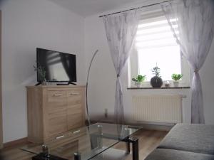 ein Wohnzimmer mit einem TV und einem Fenster in der Unterkunft Ferienwohnung "Am Vaterlandsgrubenweg" in Oelsnitz