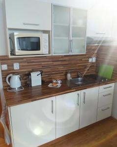 a kitchen with a sink and a microwave at Apartmán JaFi Lipno nad Vltavou in Lipno nad Vltavou