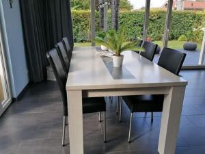 ノールトウェイクにあるBright Holiday Home in Noordwijk near Seaのダイニングテーブル(黒い椅子付)、鉢植え