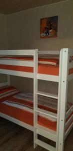 two bunk beds sitting next to each other in a room at Ferienwohnung Todtmoos in Todtmoos