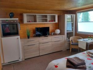 a living room with a television and a bedroom at Poolhaus im Südharz in Ilfeld