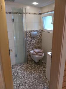 a bathroom with a toilet and a glass shower at Poolhaus im Südharz in Ilfeld