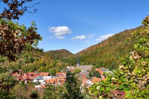 Imagen de la galería de Poolhaus im Südharz, en Ilfeld