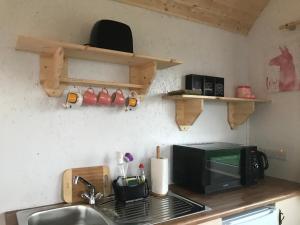 encimera de cocina con fregadero y microondas en The Beautiful Lazy Llama Shepherd Hut Farm Stay, en Ballyshannon