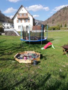 um parque infantil com um trampolim e um jogo na relva em Pension Goldmann - Ferienwohnung 3 em Schönau im Schwarzwald