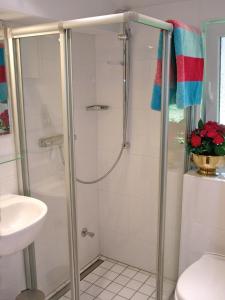 a shower with a glass door in a bathroom at Bienenhaus in Ulsnis