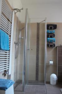 y baño con ducha y puerta de cristal. en Zollhaus Strukkamp, en Strukkamp auf Fehmarn