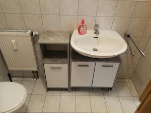 a bathroom with a sink and a toilet at Blick zum Lallinger Winkel in Langfurth 