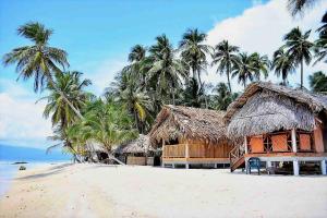 una casa en una playa con palmeras en el fondo en Cabañas Tubasenika, en Ailigandí