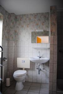 GoosefeldにあるAlte Schule App 4のバスルーム(トイレ、洗面台付)