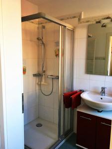 a bathroom with a shower and a sink at Wiesenstraße 40 in Zingst