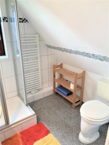 a bathroom with a toilet and a shower at Haus Uschi - Ferienwohnung in Cismar