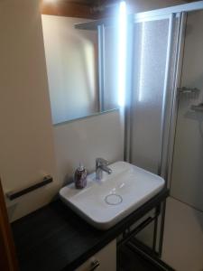 a bathroom sink with a mirror and a shower at Blockhaus Bayerischer Wald in Stamsried