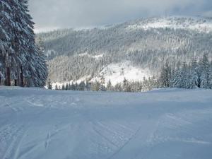 a snow covered slope with trees and a mountain at Kappel App 21 in Lenzkirch