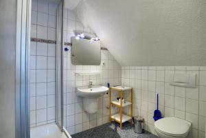 ツィングストにあるAltes Wasserwerk, App 3の小さなバスルーム(洗面台、トイレ付)