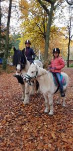 dos personas montando a caballo en las hojas en Gästehaus Bommelsen - FEWO 3, en Bomlitz