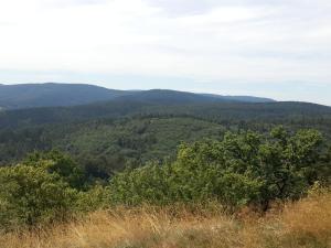 a view of the mountains from the top of a hill at Haus Saskia in Wutha-Farnroda