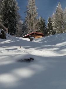 Obiekt Chalet Petit zimą