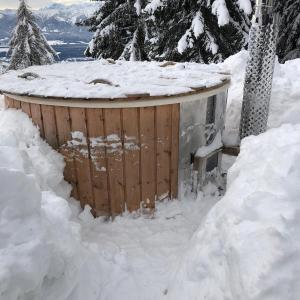 Obiekt Chalet Petit zimą