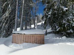 Obiekt Chalet Petit zimą