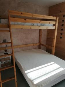 a bedroom with two bunk beds and a ladder at Les Cyclamens in Doussard