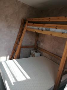 a bedroom with a bunk bed with a ladder at Les Cyclamens in Doussard