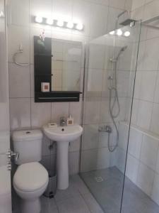 uma casa de banho com um WC, um lavatório e um chuveiro em Cozy 1 bedroom apartment close to the beach em Pafos