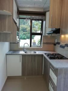 a kitchen with a sink and a window at 81 Pool Room cottage house in Durban