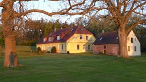 a large white house in a field with a tree at Gut Rattelvitz, Galerie F in Gingst