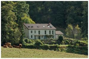dom na wzgórzu z bydłem na polu w obiekcie Chambre d'hôtes Chalendeix w mieście Nedde