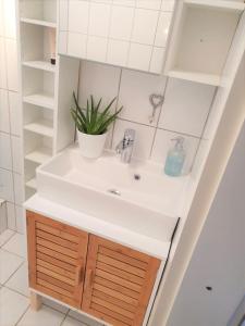 łazienka z umywalką i rośliną w obiekcie Ferienwohnung Villa Wolke w mieście Sankt Wendel