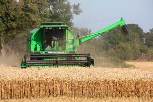 a green combine harvester in a field of wheat at Ferienwohnung "Möwennest" in Hinrichsdorf