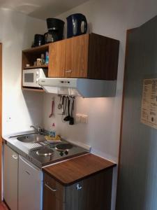 a small kitchen with a stove and a microwave at zum Wels in Wester-Ohrstedt
