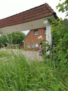 a house with a field of weeds in front of it at zum Wels in Wester-Ohrstedt