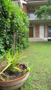 Imagen de la galería de APPARTAMENTI Il rosmarino, en Castiglione della Pescaia