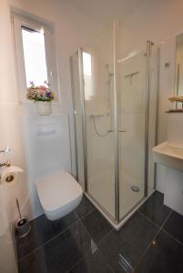 a bathroom with a shower and a toilet and a sink at Ferienwohnungen Legienstraße in Hamburg