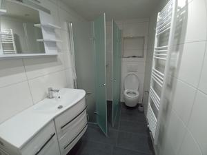Koupelna v ubytování Ferienwohnung zum Hirschgrund + 22 fotografií
