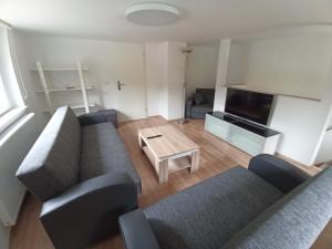 TV a/nebo společenská místnost v ubytování Ferienwohnung zum Hirschgrund