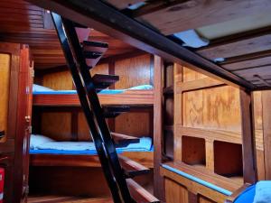 a group of bunk beds in a room with wooden walls at Anna Maria II in Amsterdam