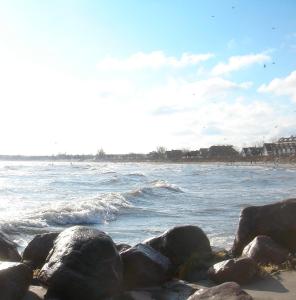 a beach with some rocks and the ocean at Lachmöwe - 29741 in Haffkrug